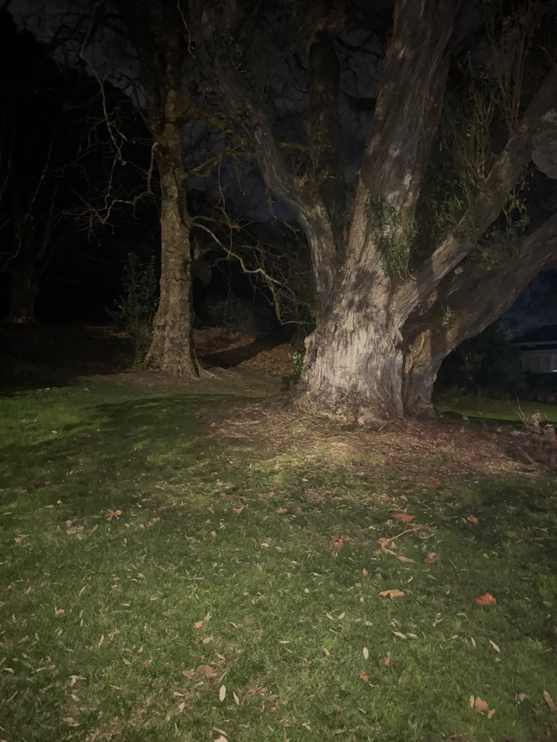 walking near me in Mount Eden in winter