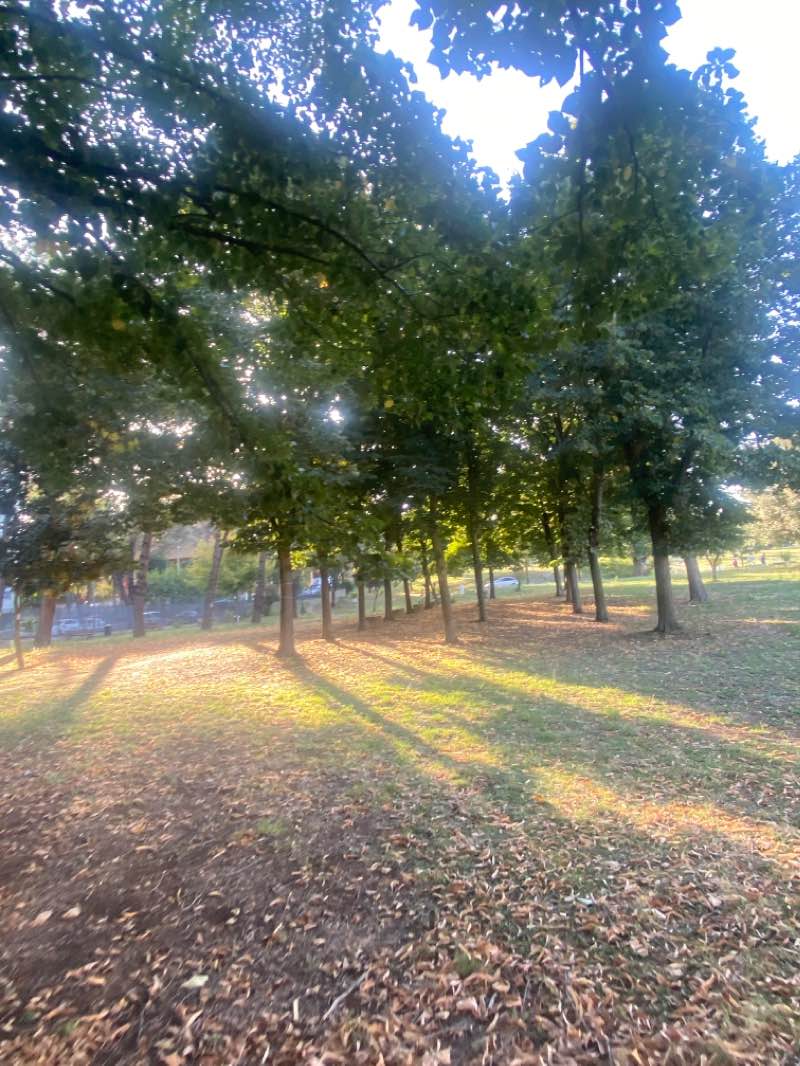 walking near me in Parco delle Sabine in winter