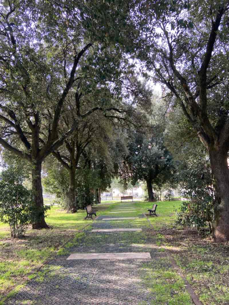 walking near me in Parco Talenti in winter