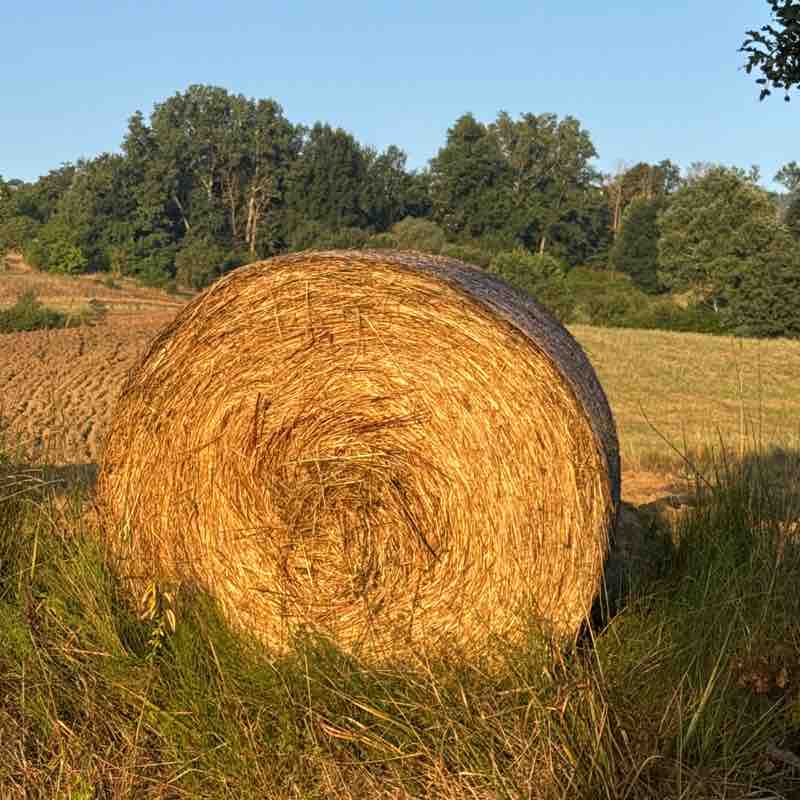 ads47 post 2