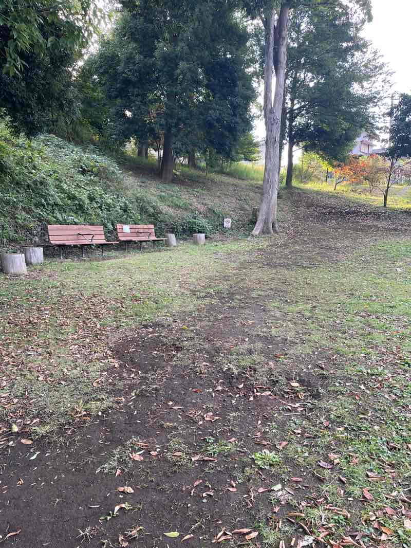 walking near me in Kozono Park in autumn