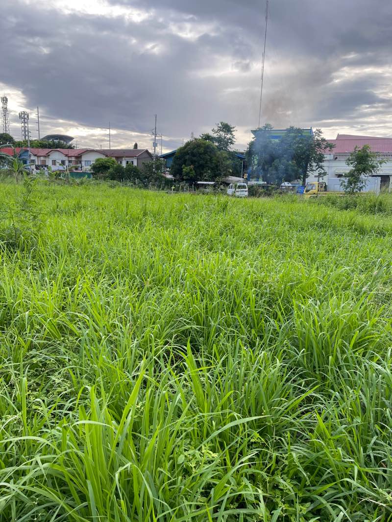walking near me in Saint Vincent Ferrer Park in autumn