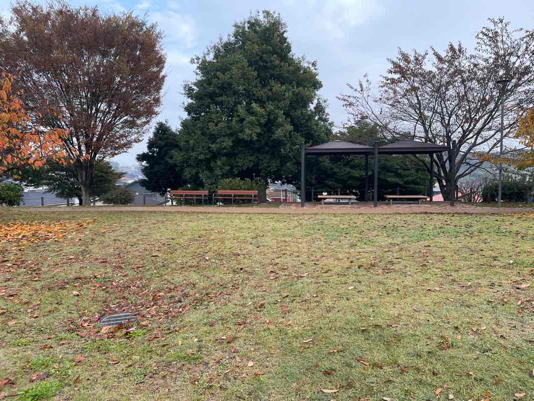 walking near me in 風の公園 in autumn