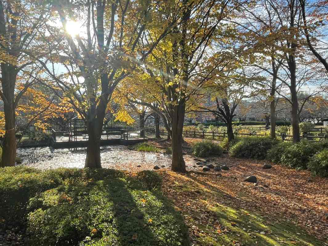 walking near me in Ryōnan Park in autumn