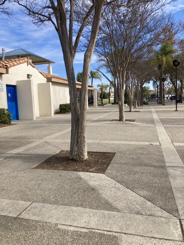 walking near me in California Oaks Sports Park in winter