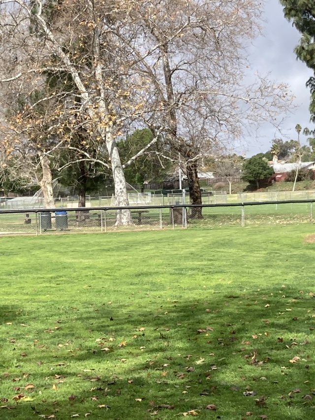 walking near me in Melba Bishop Park in winter