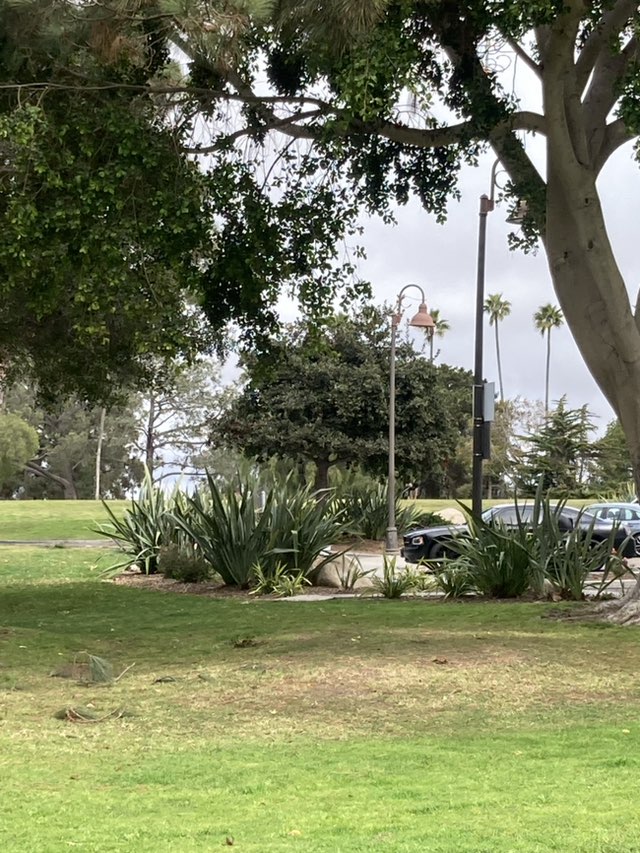 walking near me in Buddy Todd Park in winter