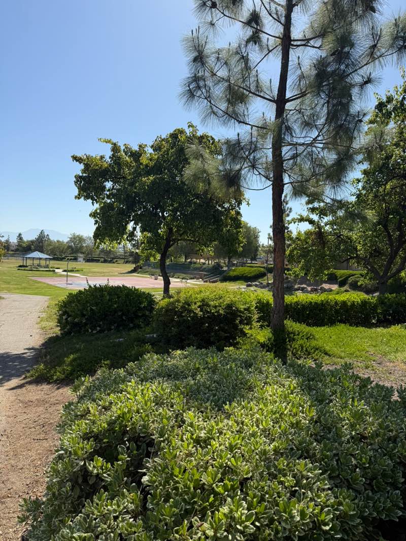 walking near me in Mapleton Park in spring