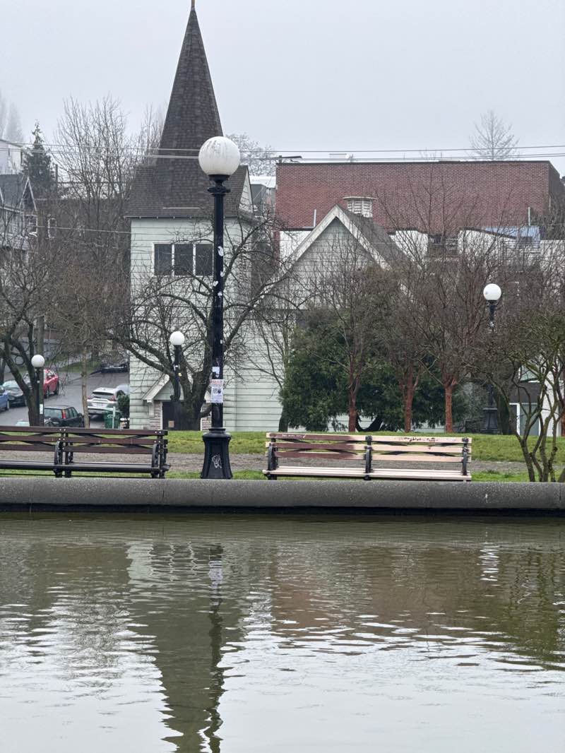walking near me in Cal Anderson Park in winter