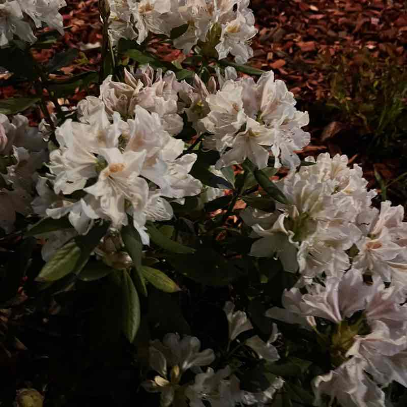 Наталья 🇷🇺 post 2