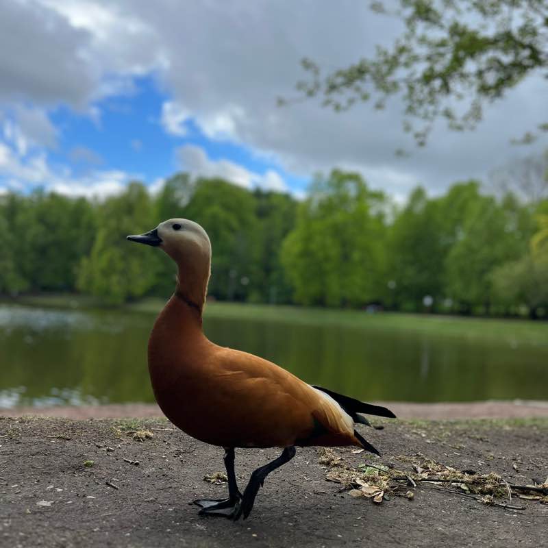 Наталья 🇷🇺 post 3