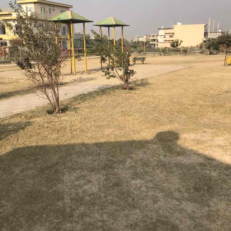 Muhammad Ashraf post 1