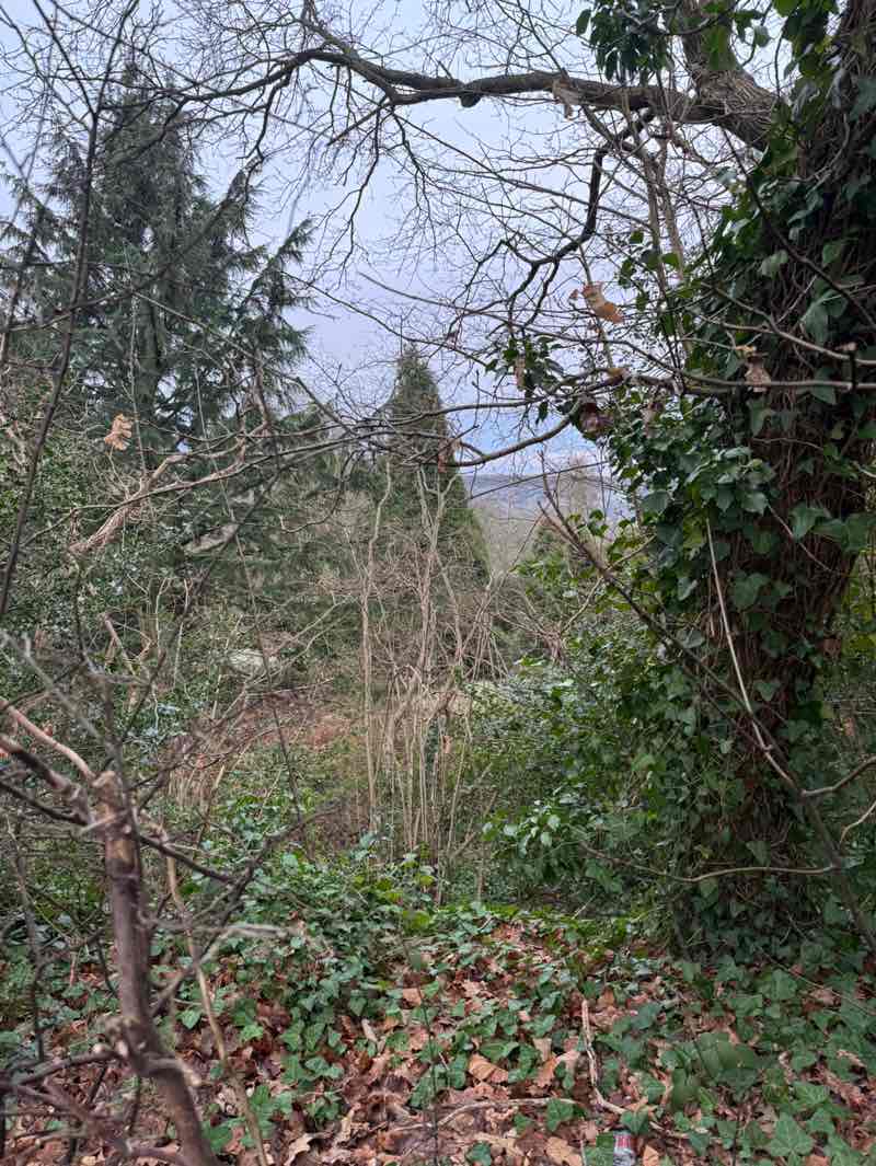 walking near me in Egerton Park in winter