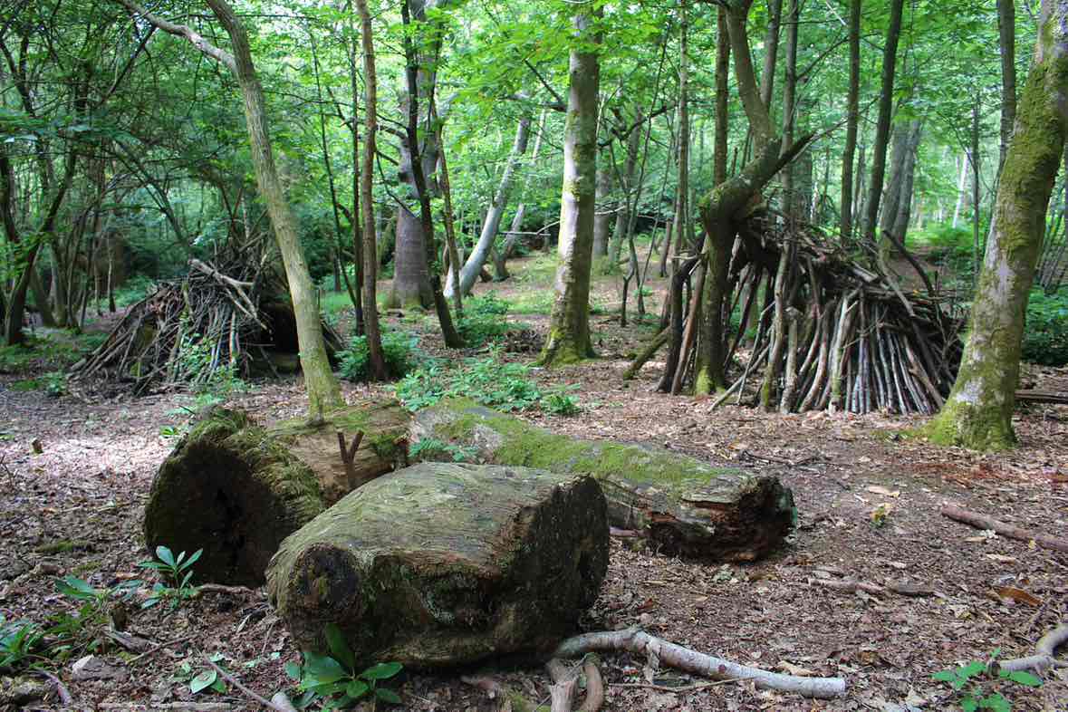 walking near me in Sandgate Park and Sandgate Recreation Ground in winter