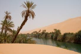 walking near me in حديقة العلم in winter