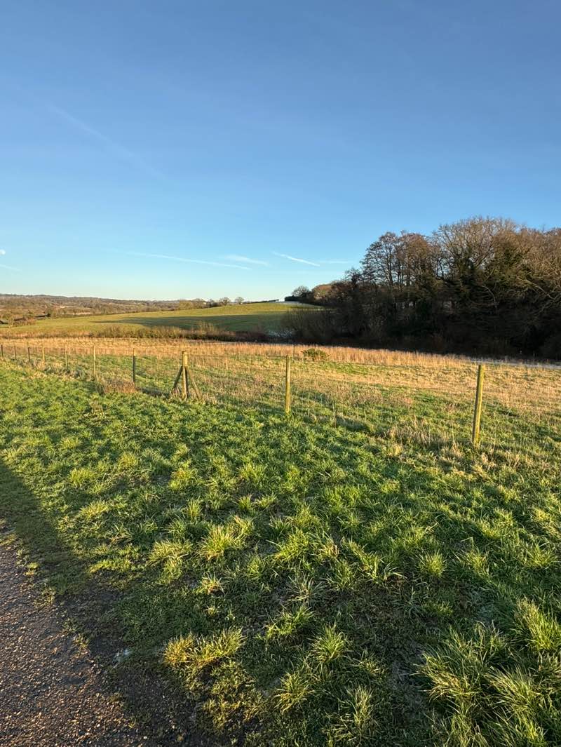 walking near me in Collington Wood in winter