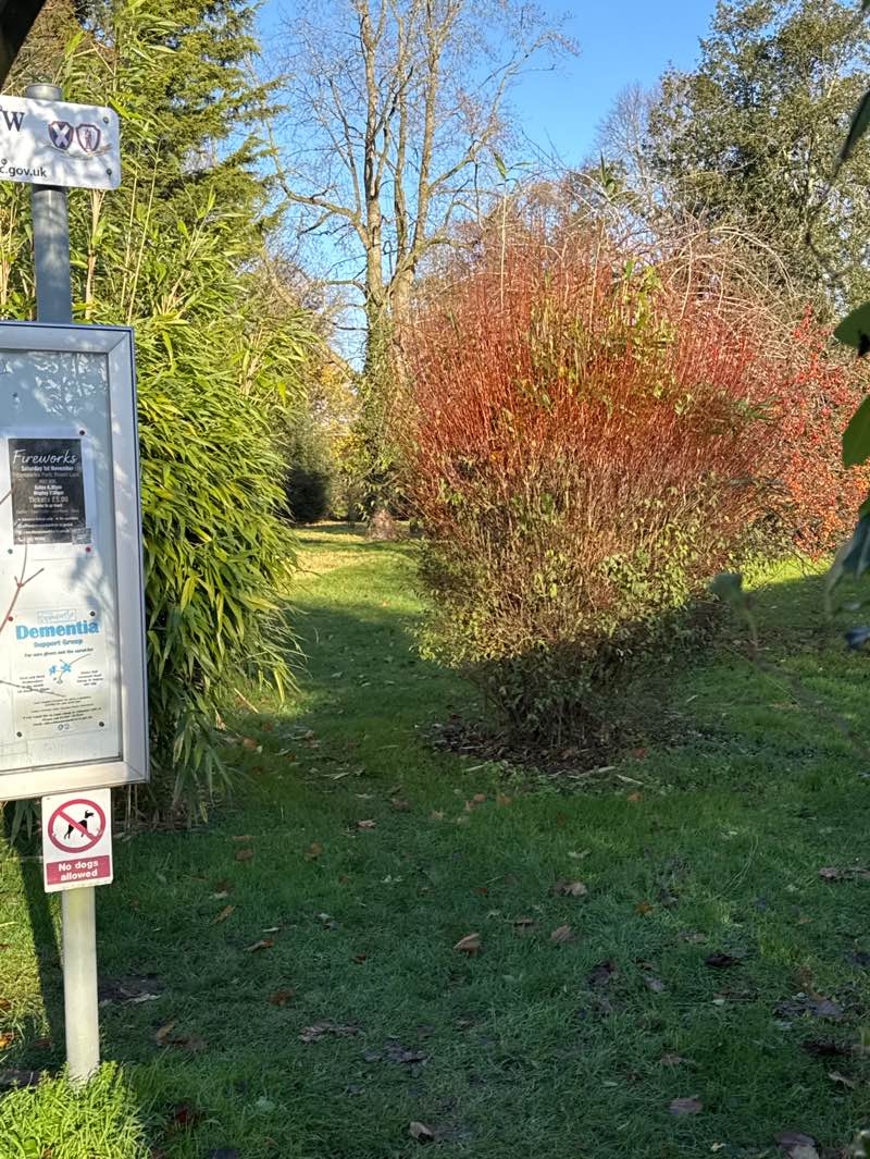 walking near me in Tree Plantation in autumn