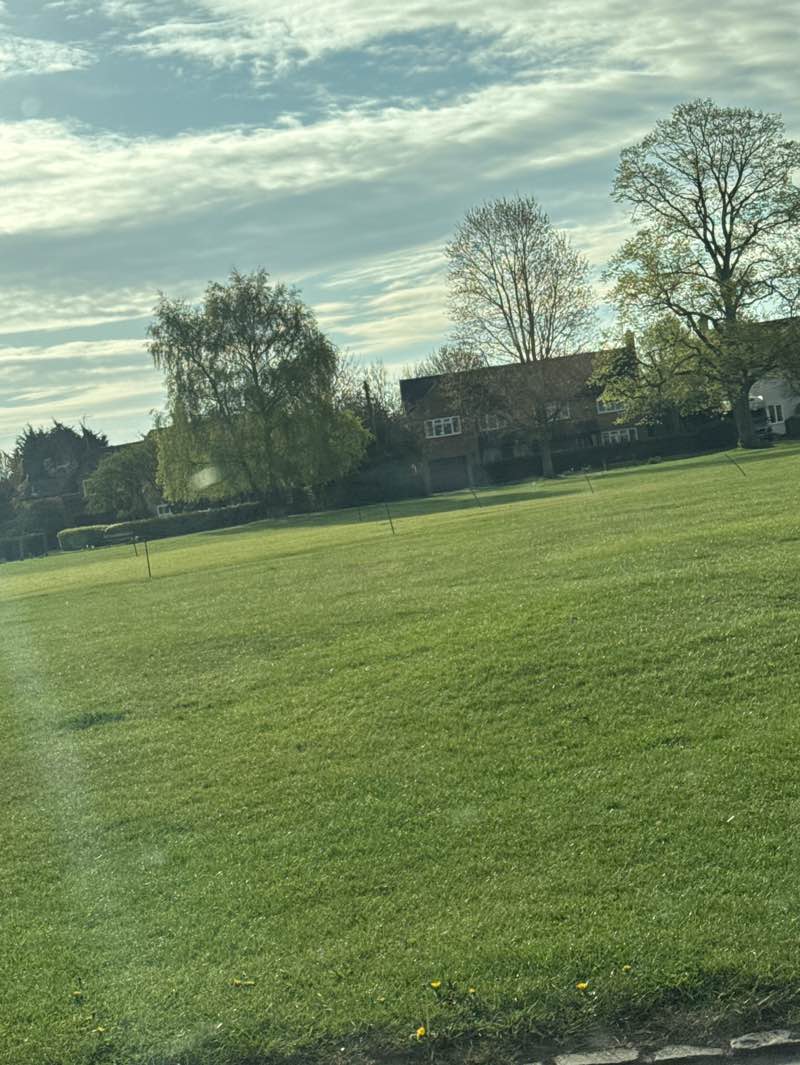 walking near me in The Green in spring