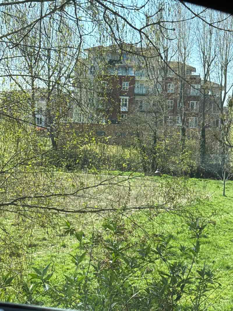 walking near me in Upper Potterton Meadow in spring