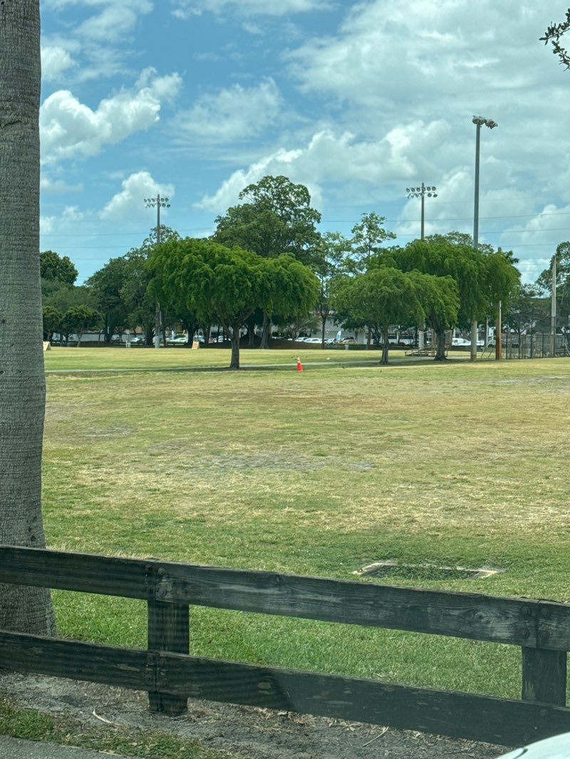 walking near me in Country Village Park in spring