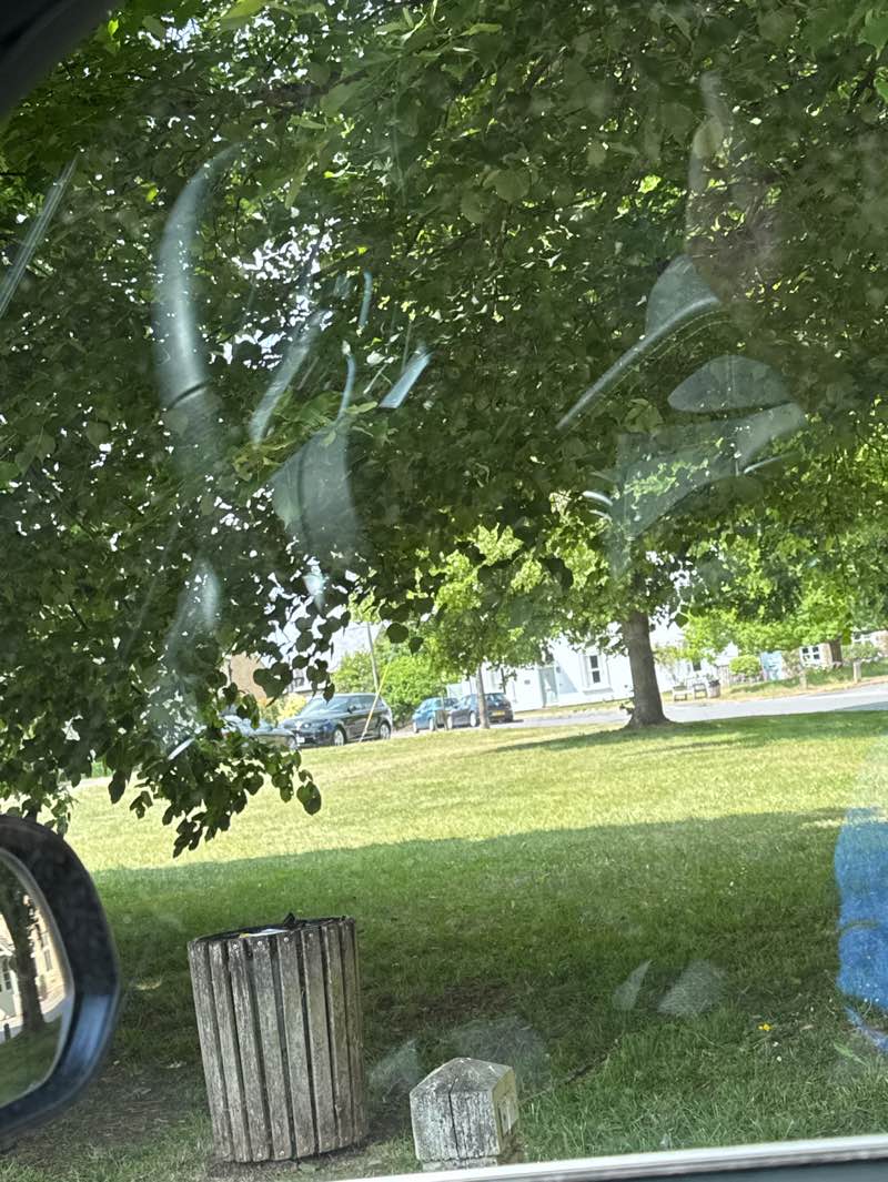 walking near me in South Green in spring