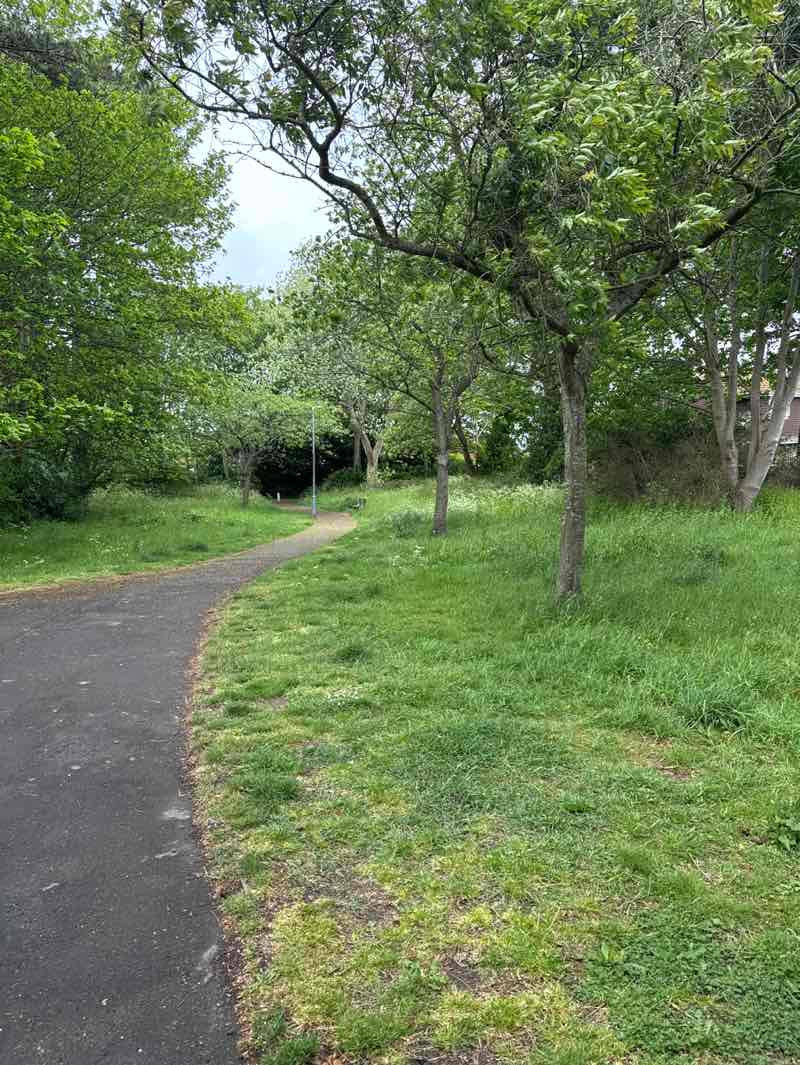 walking near me in Ashcombe Park in spring