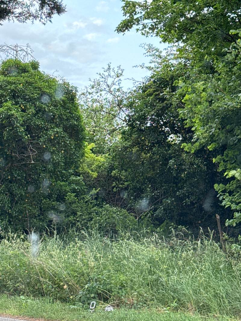 walking near me in Woodstock Town Watermeadows in summer