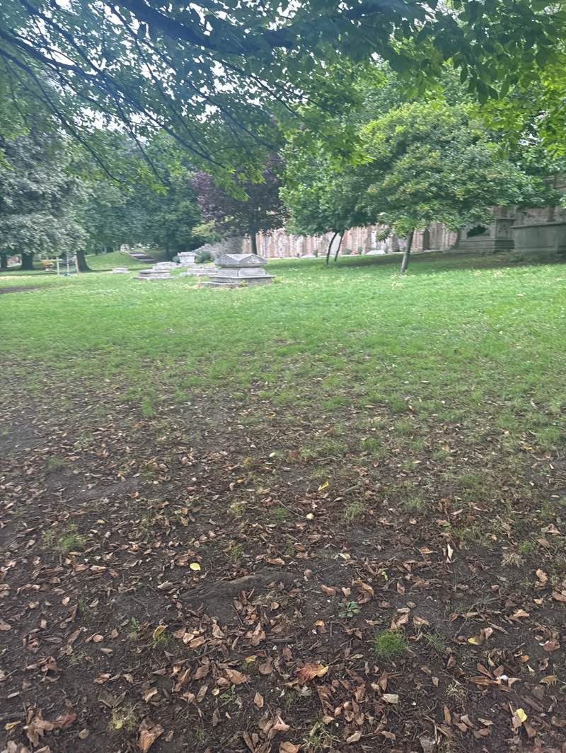 walking near me in St Nicholas Play Area in autumn