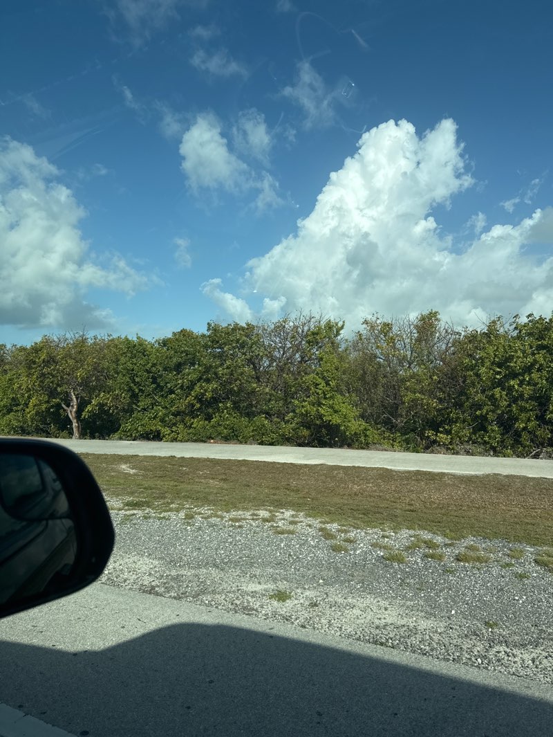 walking near me in Veterans Memorial Park in spring