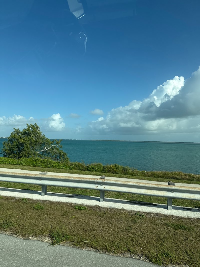 walking near me in Spanish Harbor Wayside Park in spring