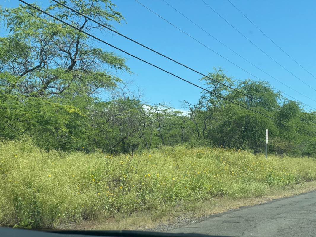 walking near me in Mākena State Park in summer
