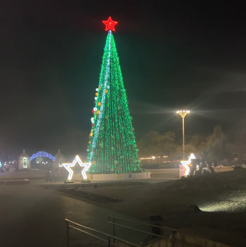 Walk_4_Moldova PacerЛейди post image