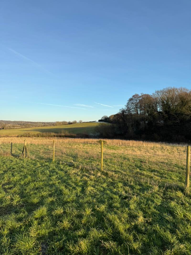 walking near me in Firle Park in winter