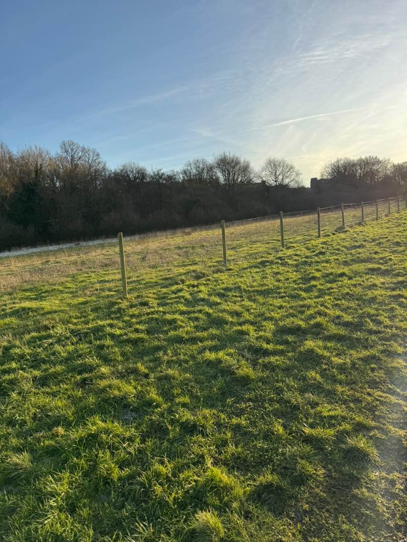 walking near me in Galley Hill Open Space in winter