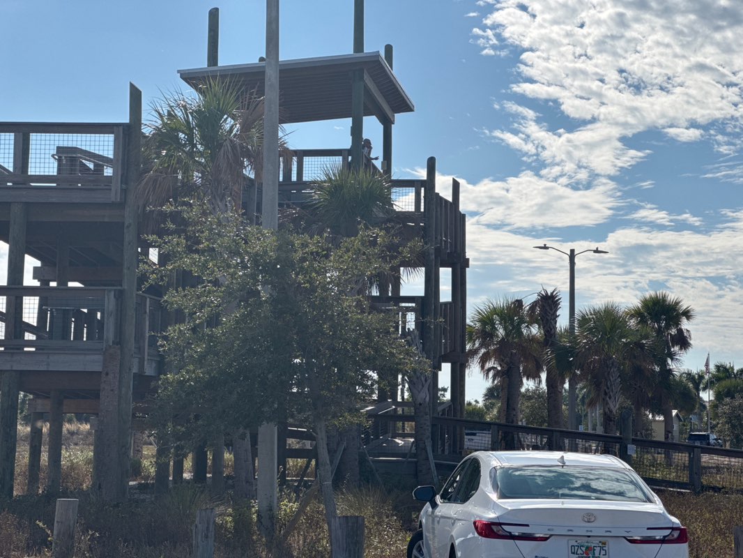 walking near me in Apollo Beach Nature Park in winter