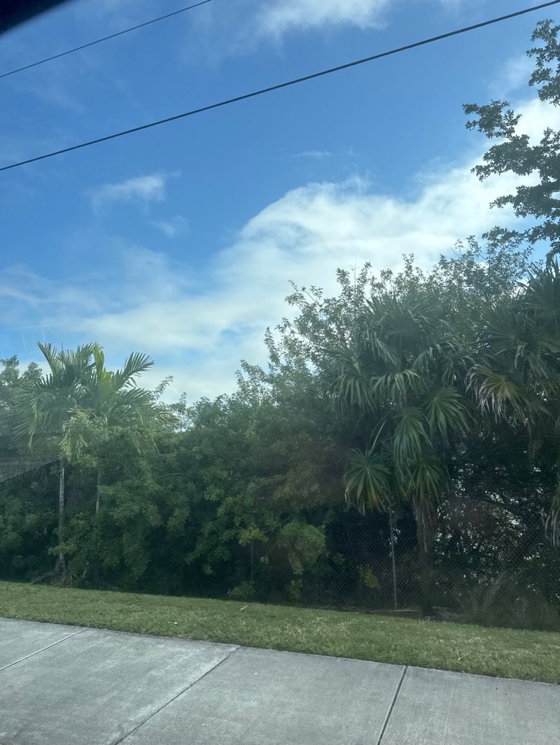 walking near me in Tigertail Lake Park in winter
