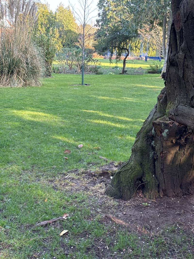 walking near me in Garth Park in spring