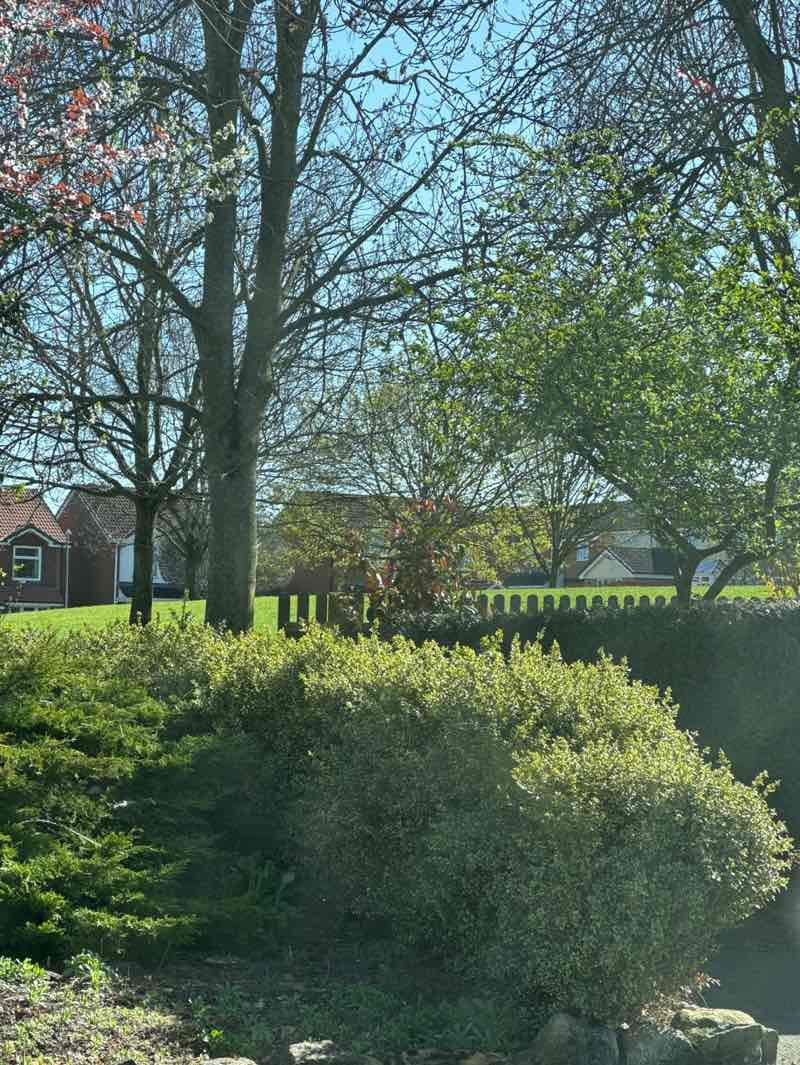 walking near me in The Maldens in spring