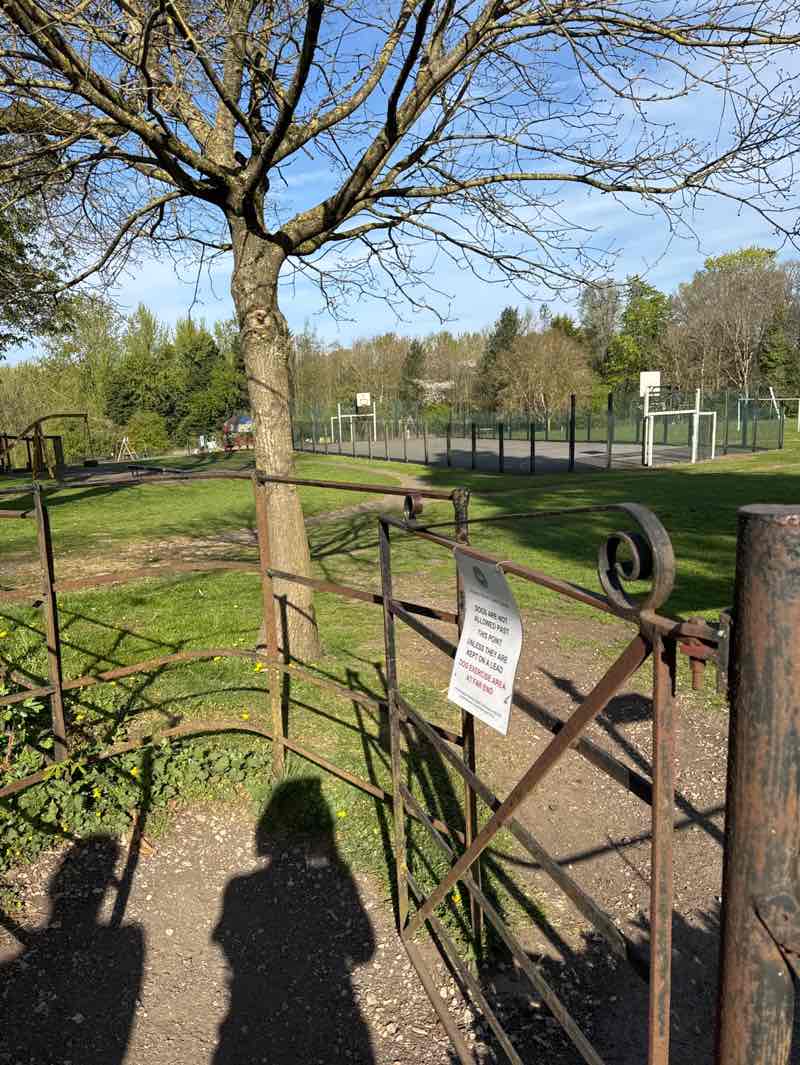 walking near me in The Common in spring