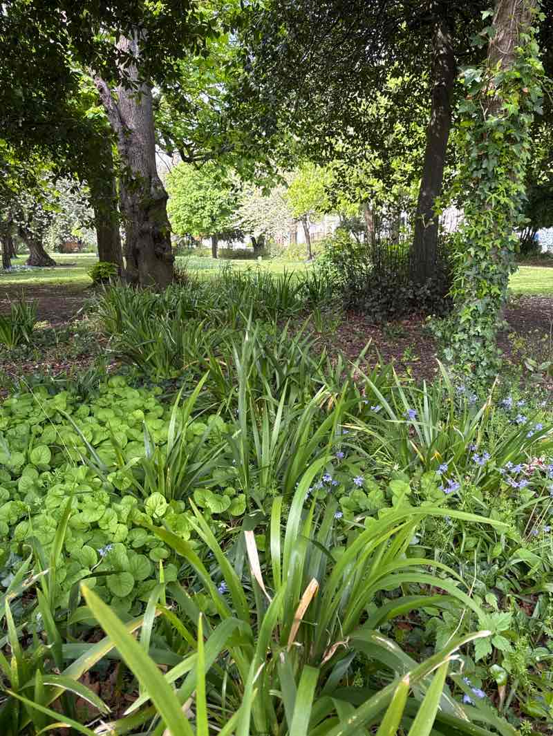 walking near me in Upperton Gardens in spring