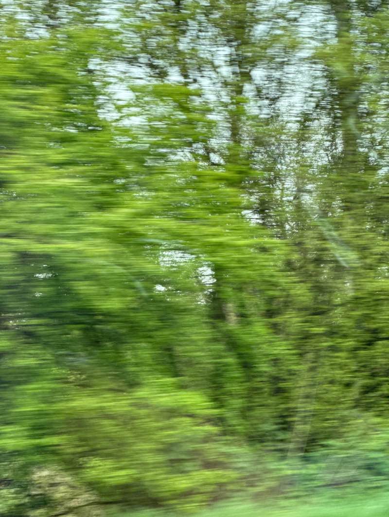 walking near me in Eton Close Play Area in spring