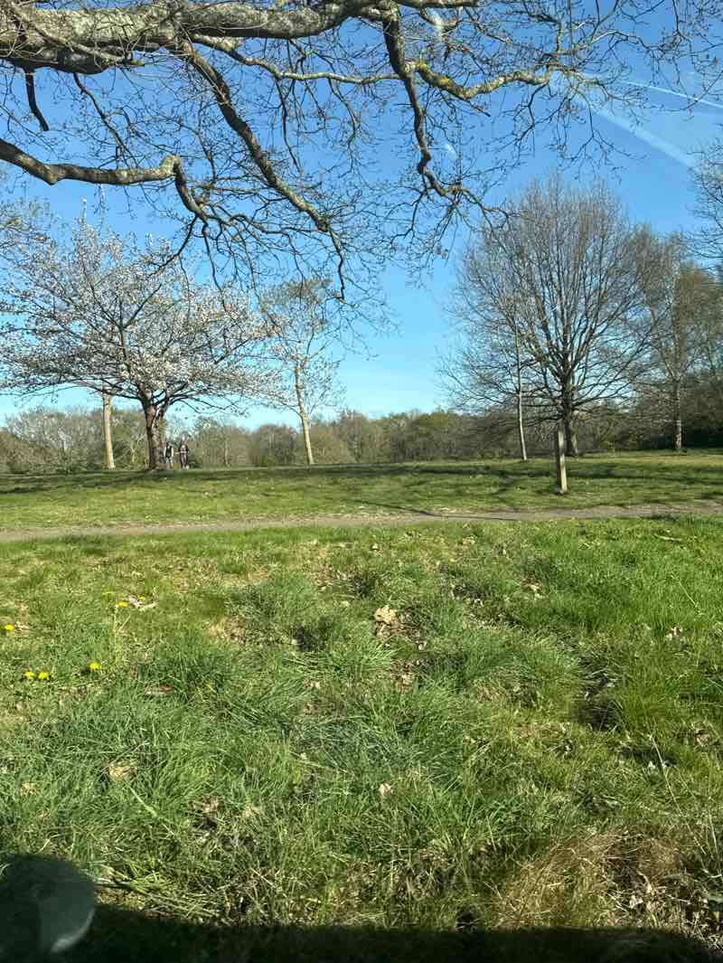 walking near me in Bexhill Down in spring