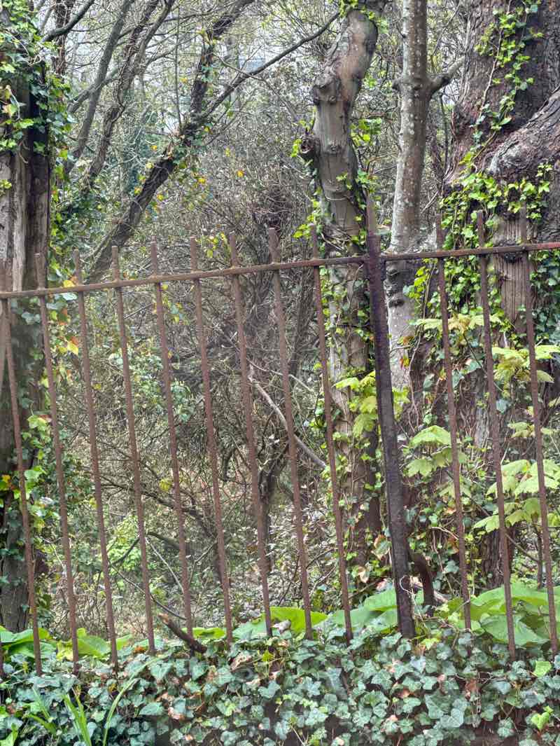 walking near me in St. Leonards Gardens in spring