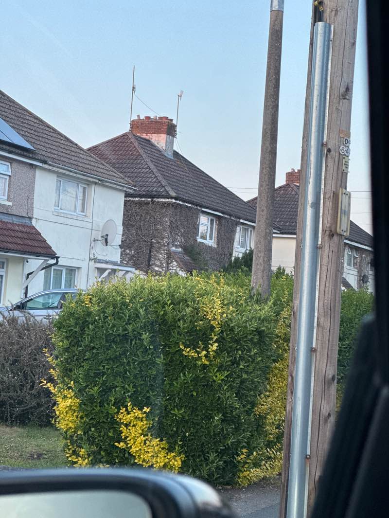 walking near me in King George V Field Play Area in spring