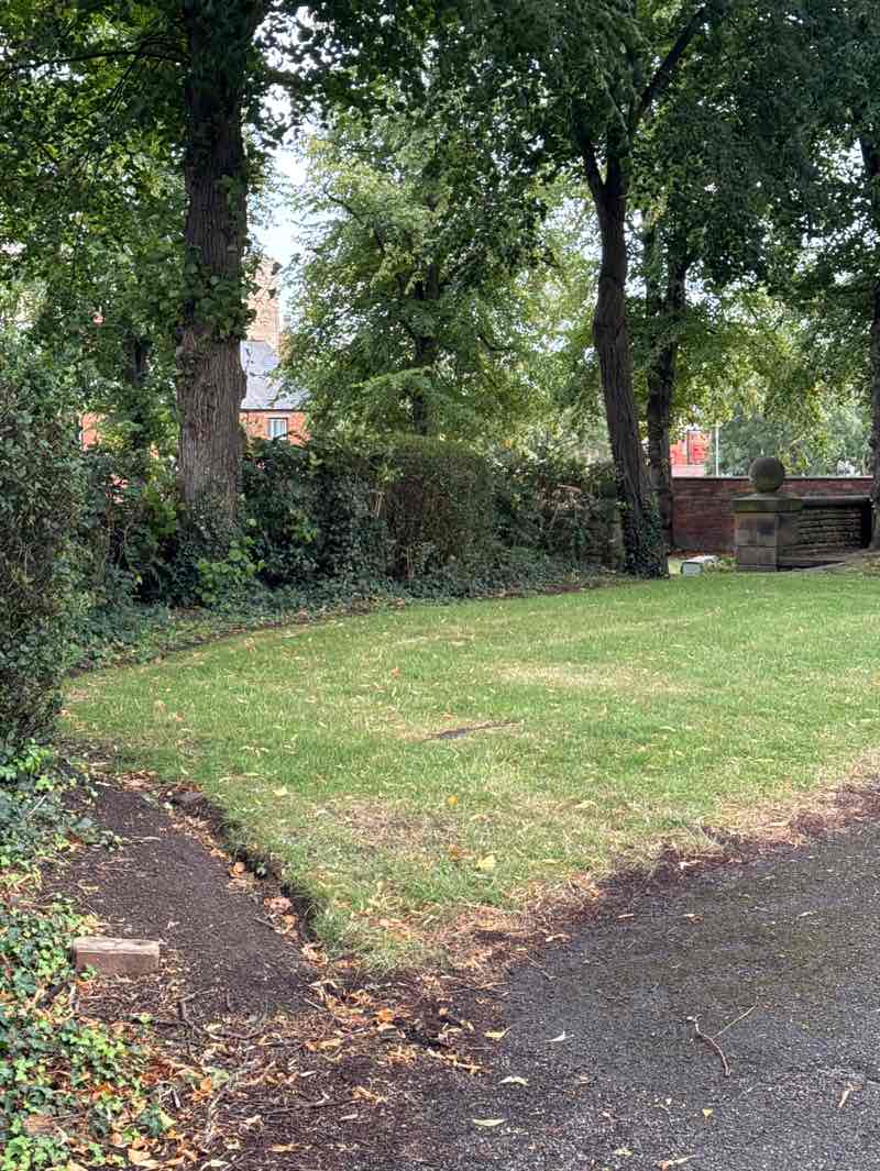 walking near me in Wickham Gardens in autumn