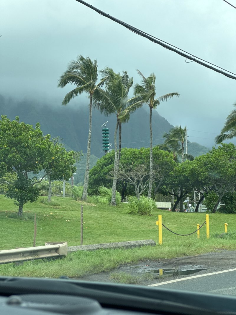 walking near me in Kahaluu Regional Park in summer