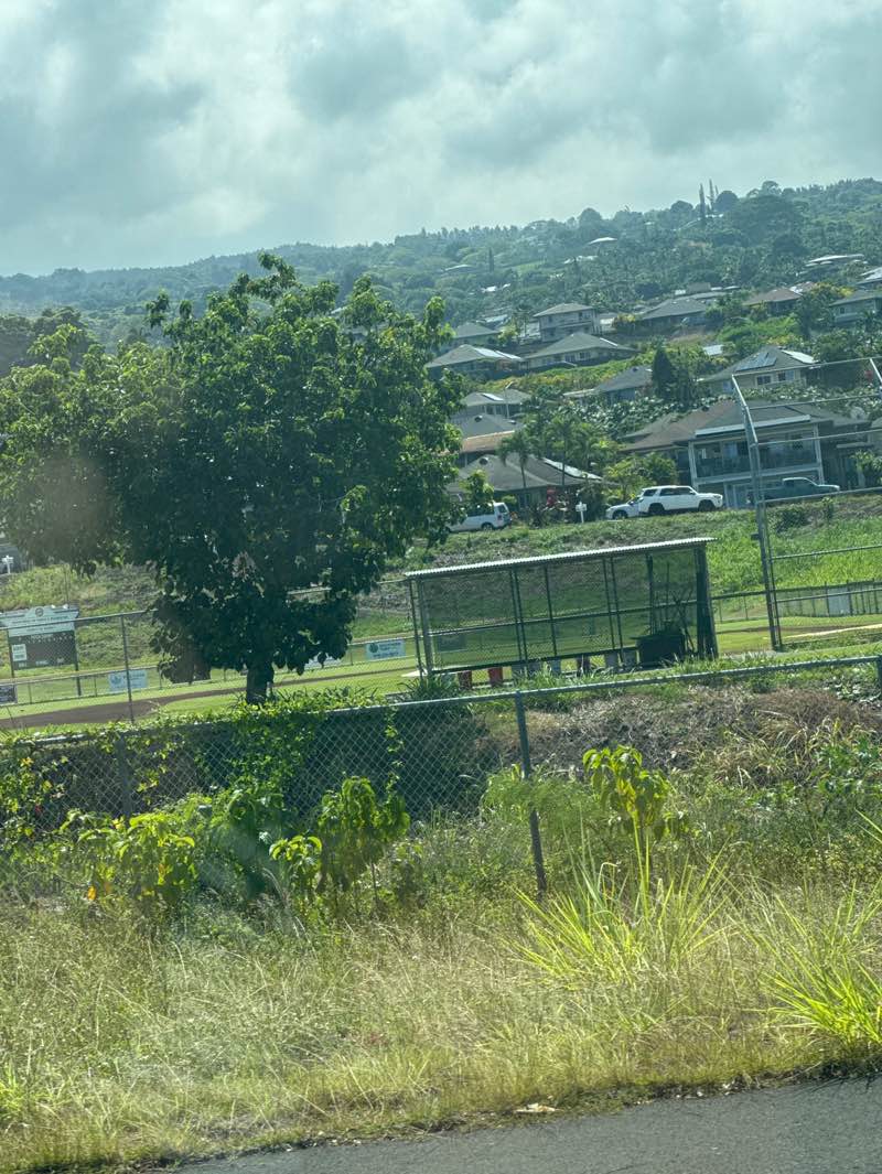 walking near me in Pualani Blue Park in summer