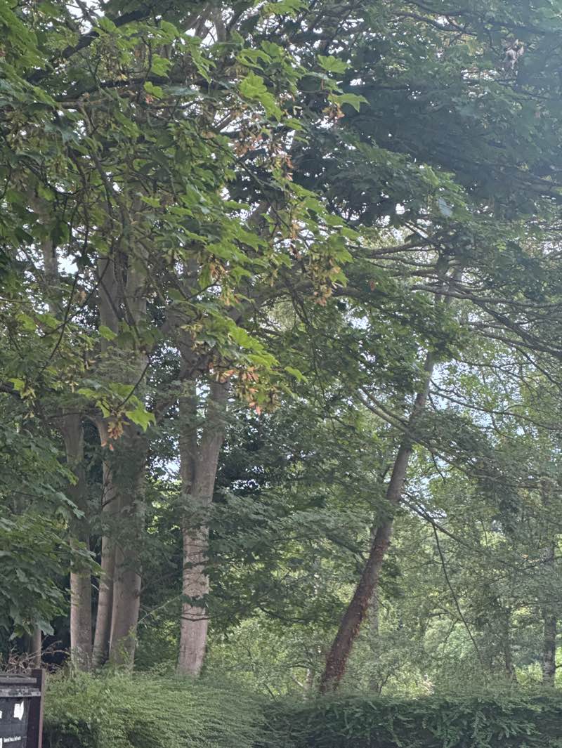 walking near me in Ketts Heights in summer