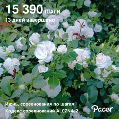 Бәхет ачкычы🗝️ Эльвира post image