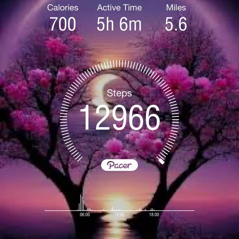 Cree's SW Louisiana Walkers Reba post image